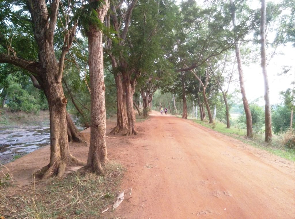 santiniketan 3 (1)