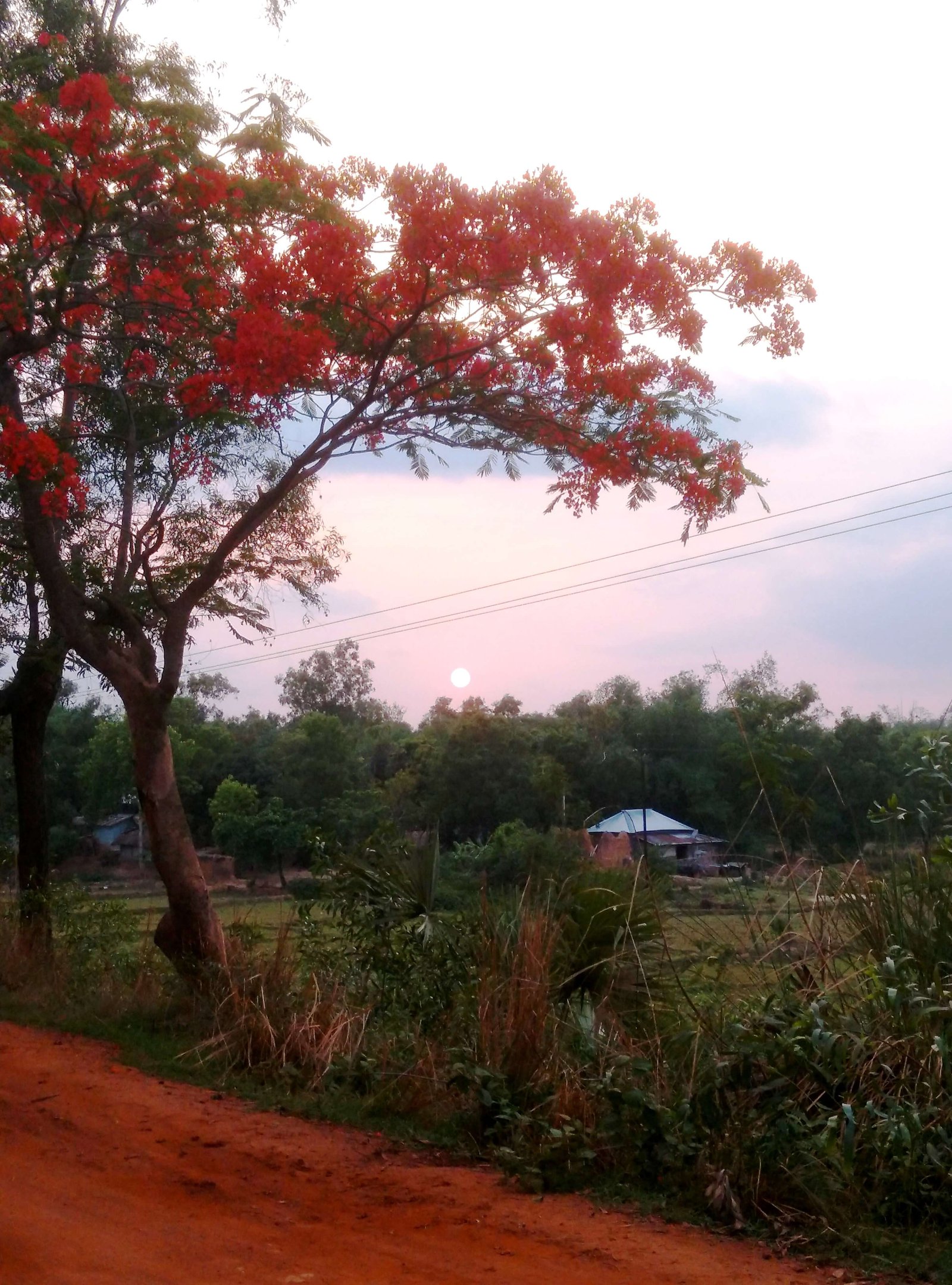 santiniketan 4 (1)