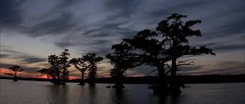 images-1