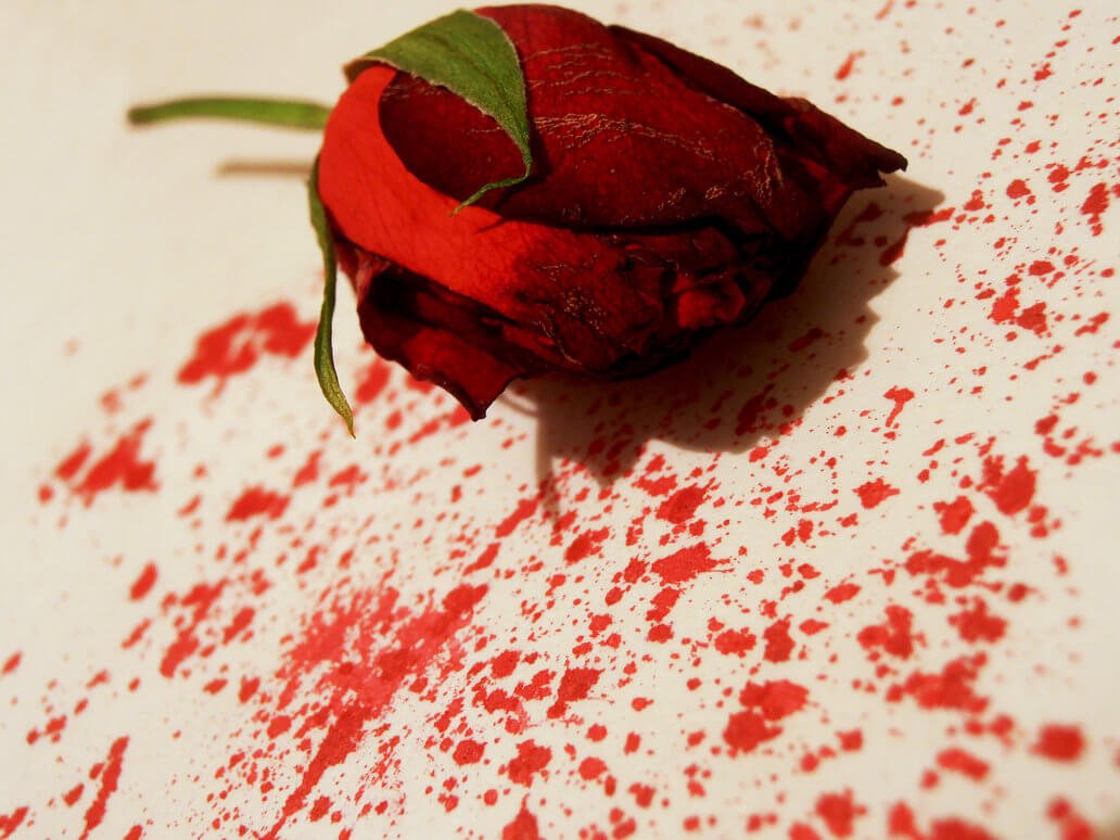 rose_blood_by_schizovampire-d6813ig